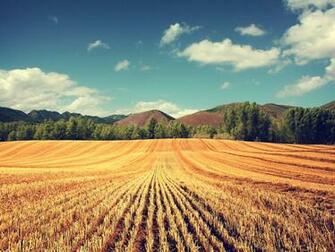 Typical Wallpaper Photo Manipulated Nature In Jpg