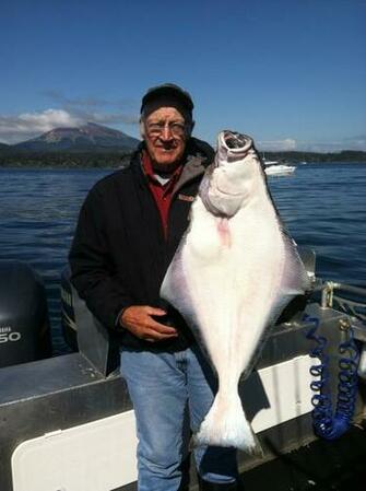 Halibut Wallpaper High Quality