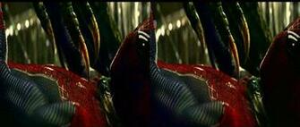 3d Wallpaper The Amazing Spider Man Sbs