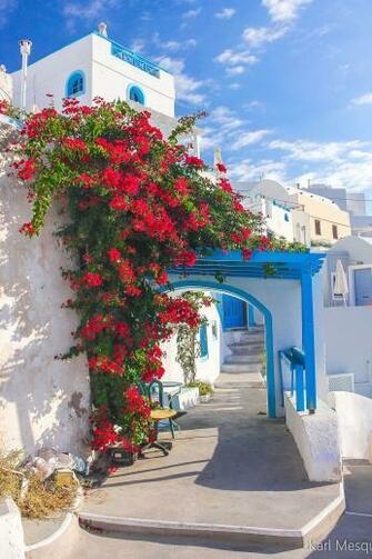 Bougainvillea In Santorini Greece Cute Wallpaper