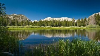 High Resolution Nature Wallpaper