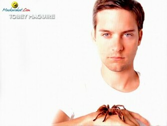 Tobey Maguire Wallpaper