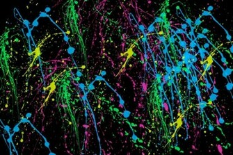 Paint Splat Wallpaper