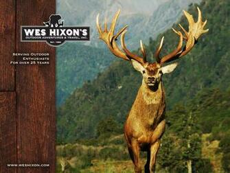 Pics Photos Deer Hunting Wallpape High Definition John
