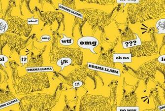 Drama Llama Desktop Wallpaper I Love Llamas