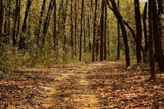 Madhya Pradesh Image India Photos Picture Gallery