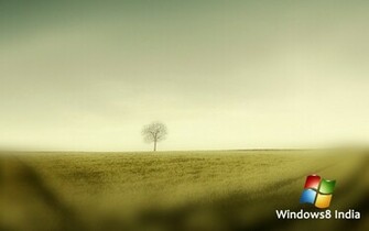 Wallpaper Pictures