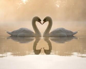 Cute Love Wallpaper HD In Imageci