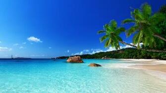 Paradise Beach Ocean Sea Palm Summer Coast Wallpaper Background