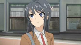 Sebastian On Mai Sakurajima Bunny Anime Beautiful
