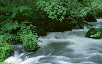 Japan Widescreen Wallpaper