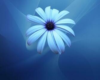Lovely Wallpaper For Desktop