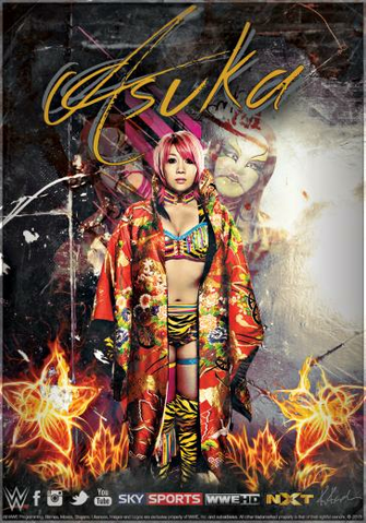 Fanart Wwe Nxt Dessins Des Fans