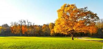 4k Wallpaper Landscapes Nature Landscape Beautiful Garden