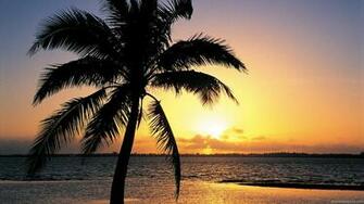 Photo Tropical Island Beach Pictures Stock Photos And Fine Art