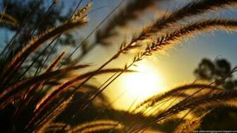 Get Now Desktop Wallpaper For Your iPhone