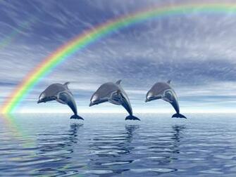 HD Wallpaper Beautiful Dolphins