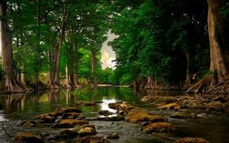 Beautiful Nature Wallpaper Backgroundwallpaper Background