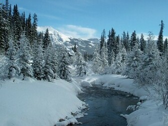 Lake Louise Desktop And Mobile Wallpaper Wallippo