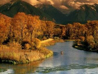 Fishing Forum Fly General Discussion Wallpaper