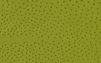 Hermes Wallpaper Katie Armour Taylor