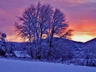 Nice Winter Sunset Nature Wallpaper HD Pictures