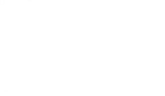 White Solid Color Background And The Below