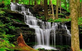 Wallpaper Brook Falls