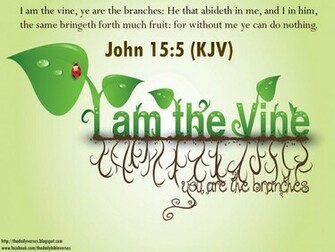 The King James Bible Verses Quotes Passages And Scriptures