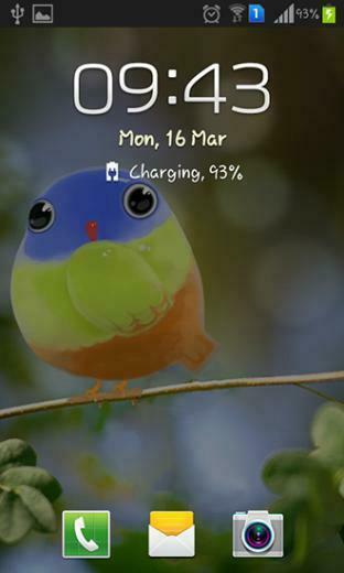Live Wallpaper Description Cute Bird