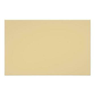Plain Beige Background Flyer