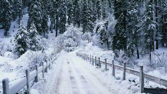 Snowy Bridge X Forest Photography Miriadna