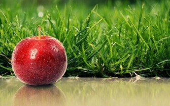 Grass Apples Wallpaper
