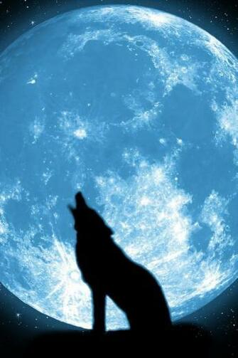 Cute iPhone Wallpaper Wolf For X Kb Jpeg