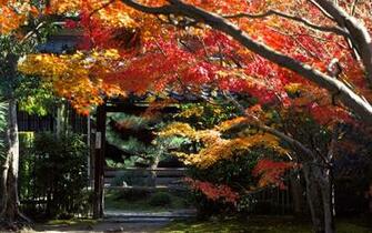 Japan Wallpaper Widescreen HD