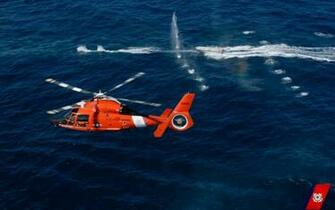 Uscg Mh 65c Dolphin By Gandiusz