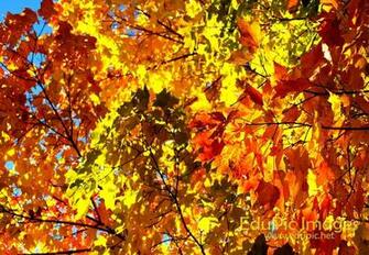 Desktop Wallpaper Fall Colors In HD