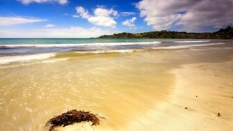 Sunny Beach Wallpaper