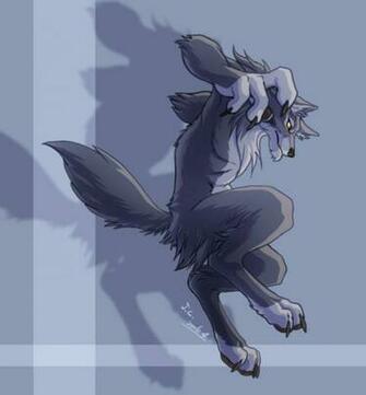 Furry Fox Wallpaper Wolf