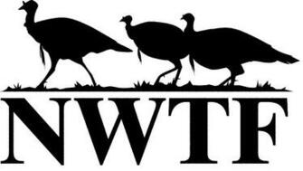 Nwtf Wallpaper On
