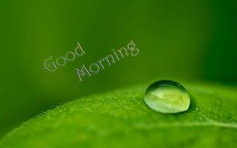 Lovely And Beautiful Good Morning Wallpaper Allfreshwallpaper