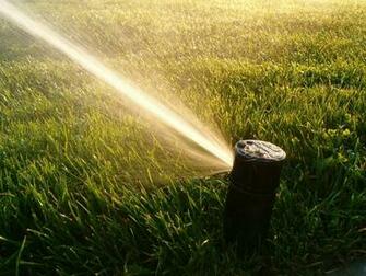 Best Turf Irrigation Wallpaper