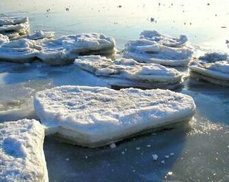 Winter National Geographic Photo Contest
