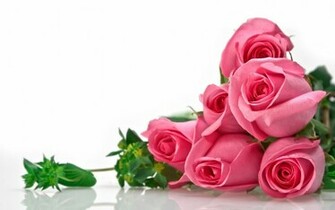 Rozen Wallpaper HD
