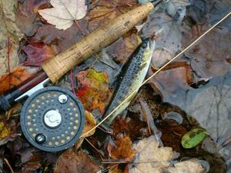 Orvis Fly Fishing Wallpaper Image Pictures Becuo