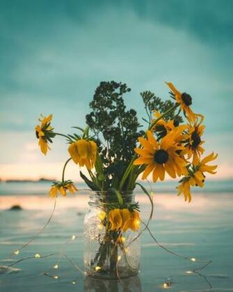 Last Summer Days By Canonpix Sunflower Wallpaper Sunflowers
