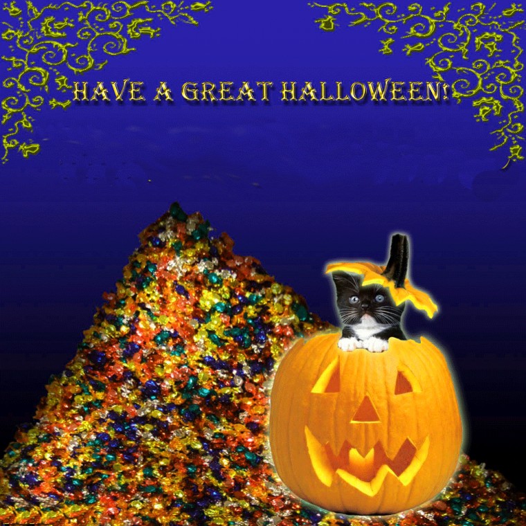 Funny Halloween Wallpaper