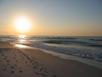 Our Beautiful White Sandy Beaches Orange Beach Al