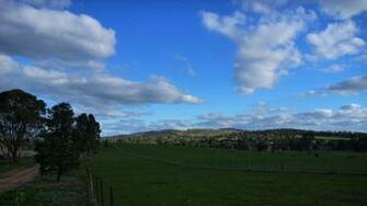 And Linux Mint Wallpaper Lovely Green Field Cows Securitron