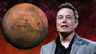 Top Elon Musk Wallpaper Full HD 4k To Use